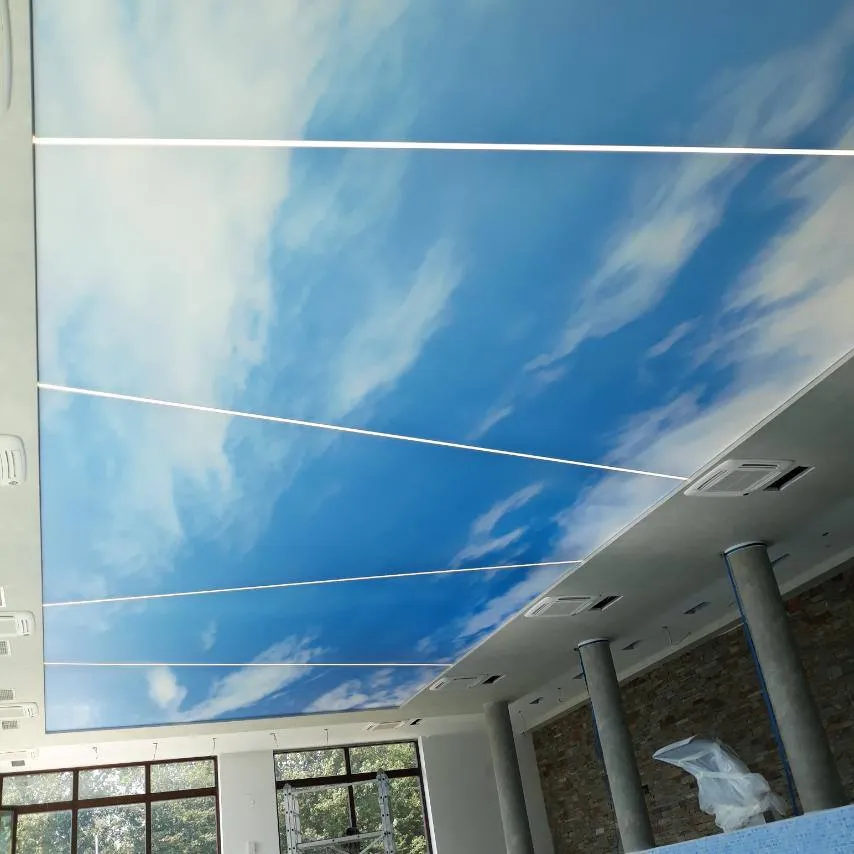 Clear Sky Printed Backlit Ceiling, Great Falls VA