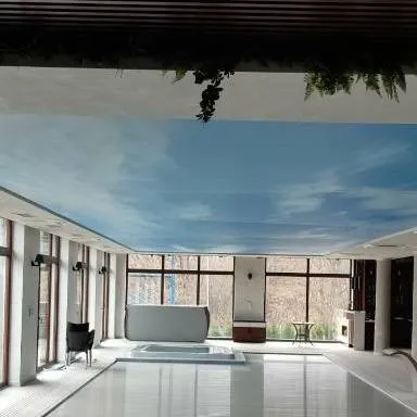 Printed Sky Ceiling, Great Falls VA - Image 2