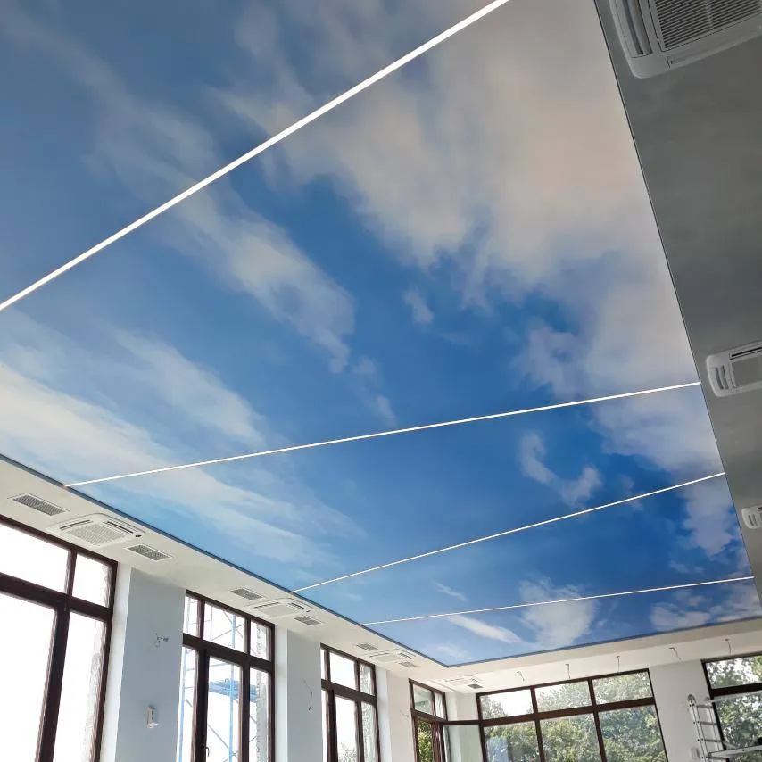 Printed Sky Ceiling, Great Falls VA