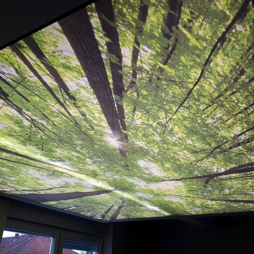 Washington, DC - Nature-Inspired Forest Printed Ceiling - Image 1