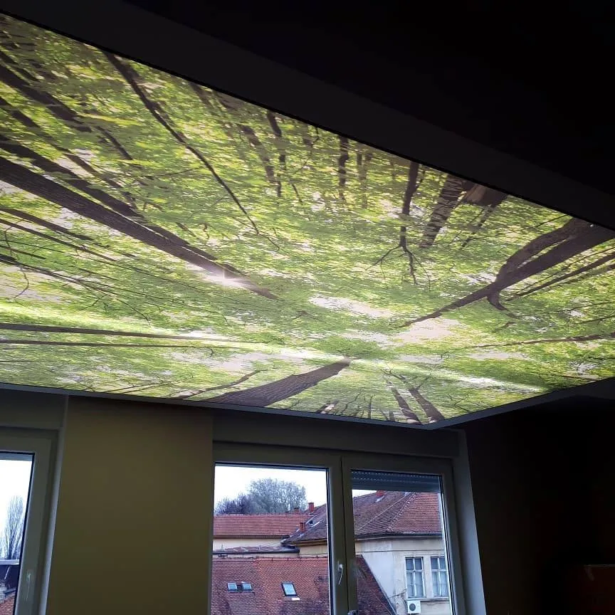 Washington, DC - Nature-Inspired Forest Printed Ceiling - Image 2