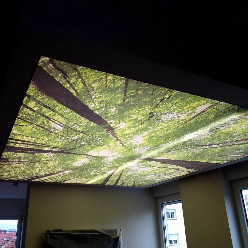 Washington, DC - Nature-Inspired Forest Printed Ceiling - Image 3