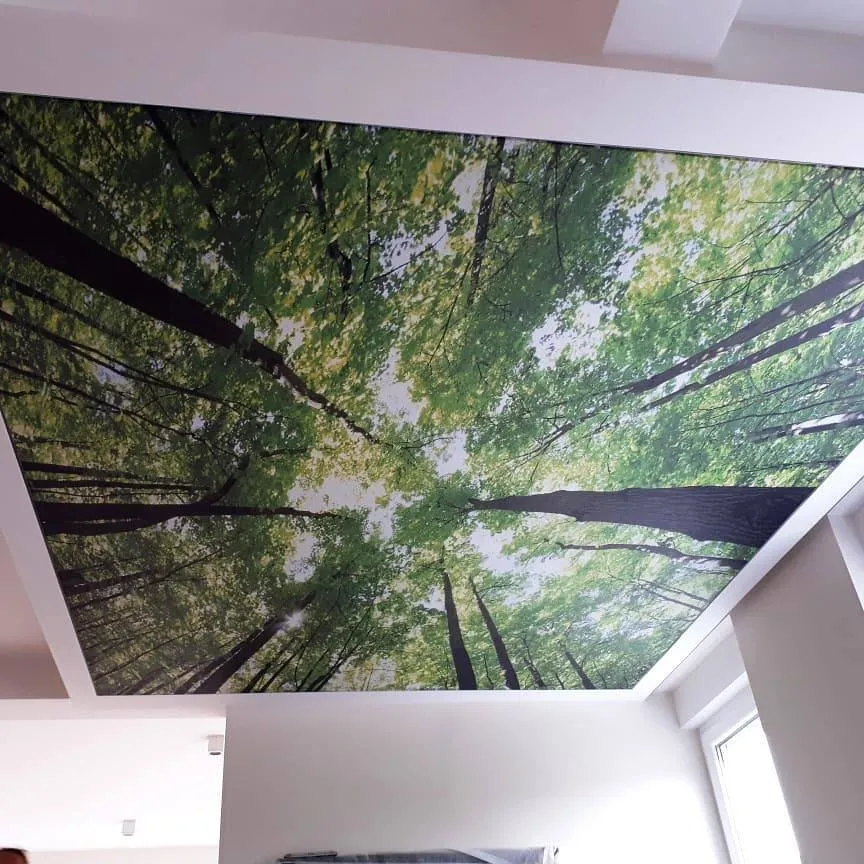 Washington, DC - Nature-Inspired Forest Printed Ceiling - Image 5