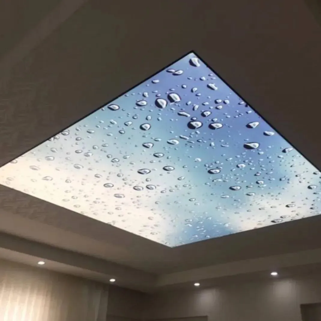 Alexandria, VA - Panoramic Blue Sky Printed Ceiling - Image 3